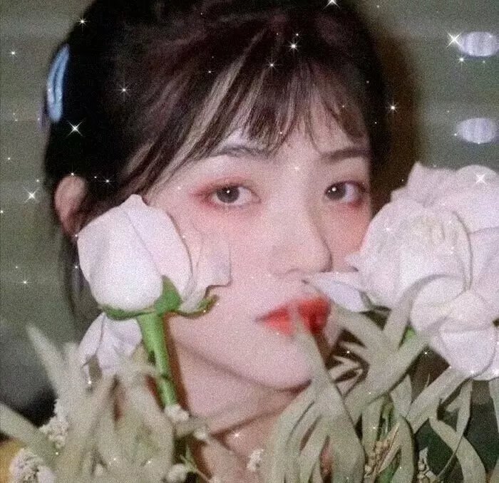 生死情劫封面