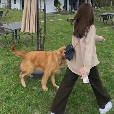 捉妖特工队封面